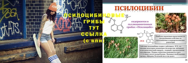 PSILOCYBIN Саяногорск