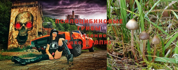 марки nbome Алексеевка